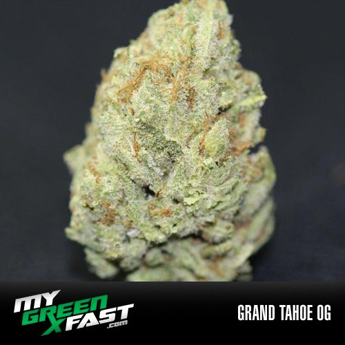 Grand Tahoe OG Marijuana Strain
